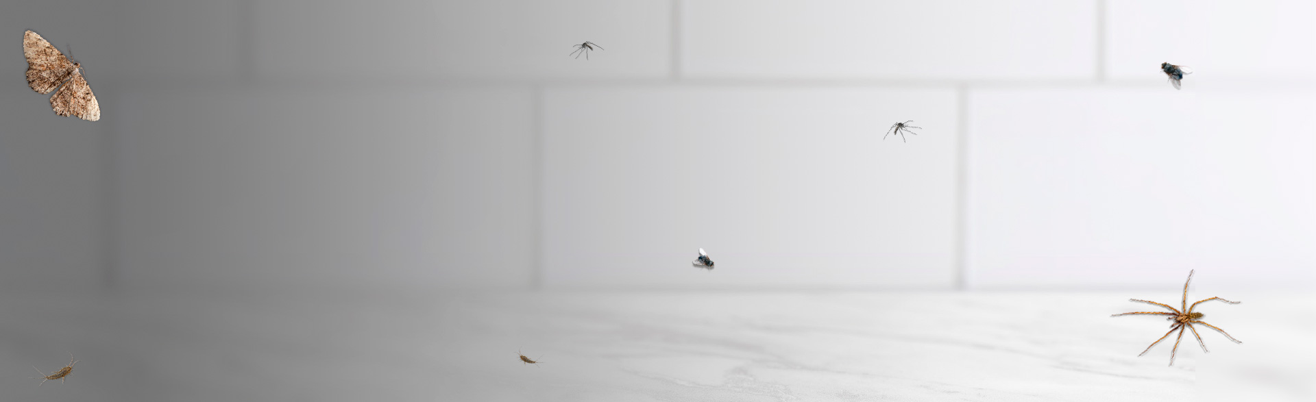 1920x587_Insektspray