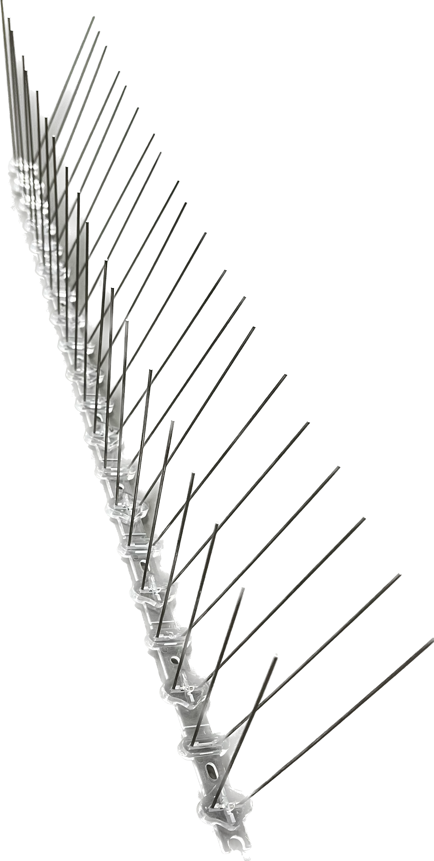 Fuglepigge til måger, 50 cm.