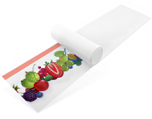 VETROBAND limpladefælde til vindue, mod fluer