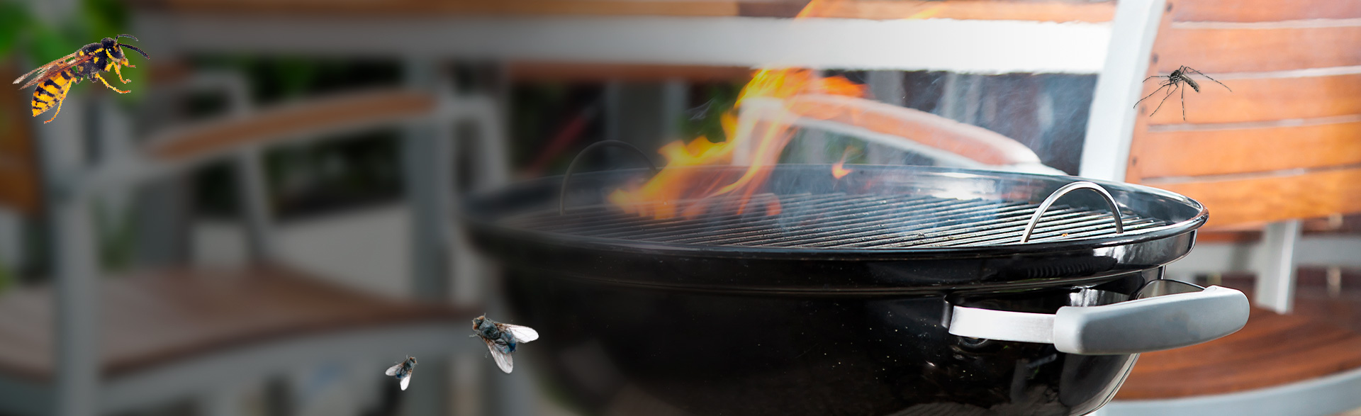 1920x587_flyvende_insekter