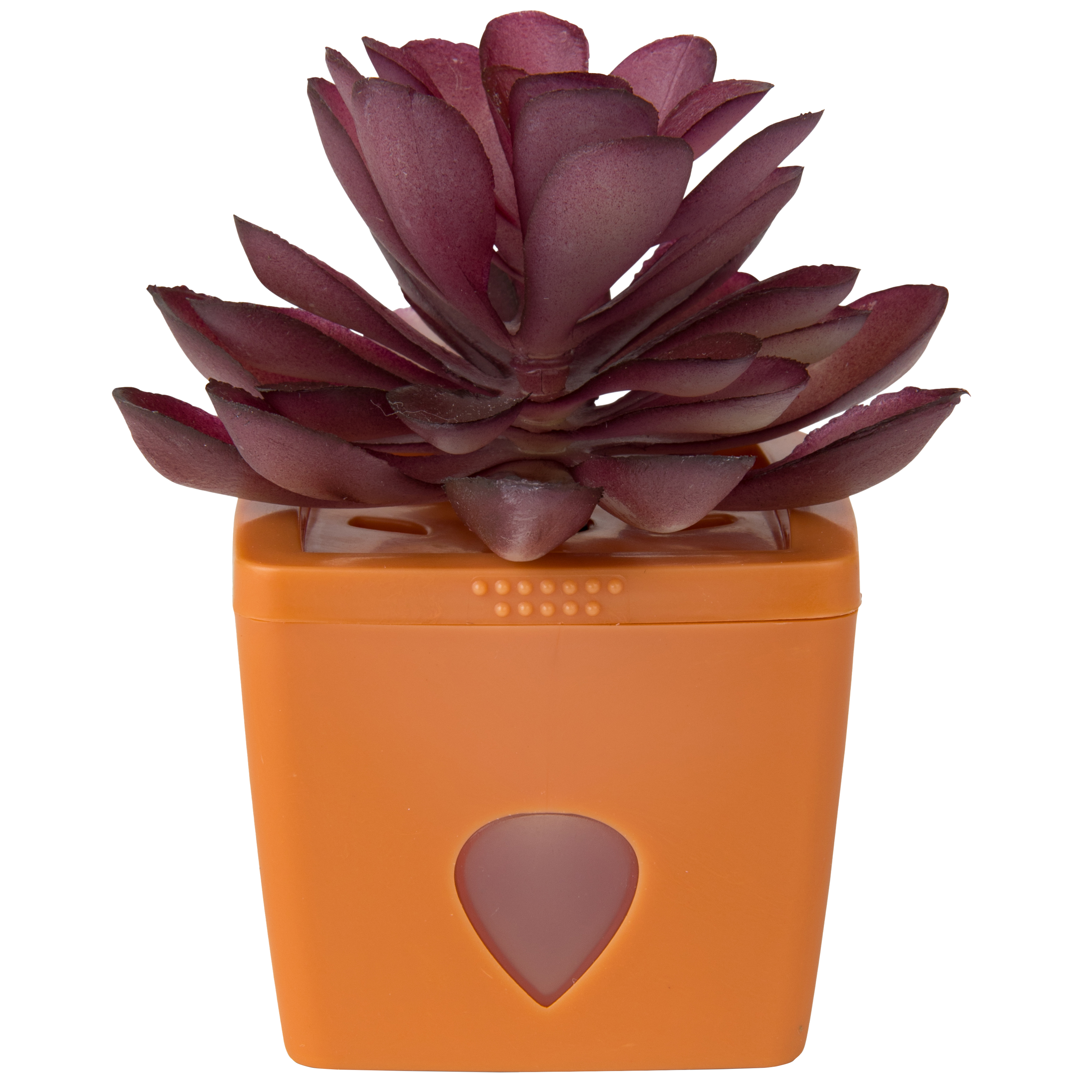 ZendoZones® Bananfluefælde, Mellow Molly, terracotta