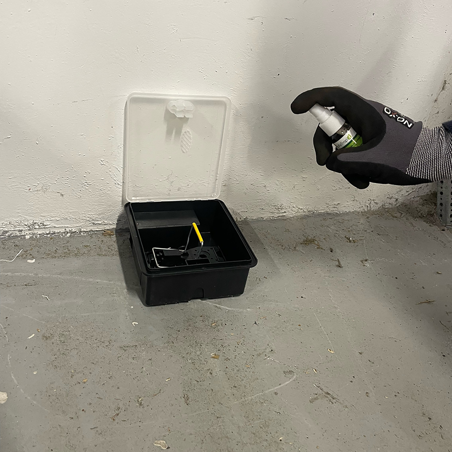 SafeTrap Fælde & depot spray 30ml, Karry