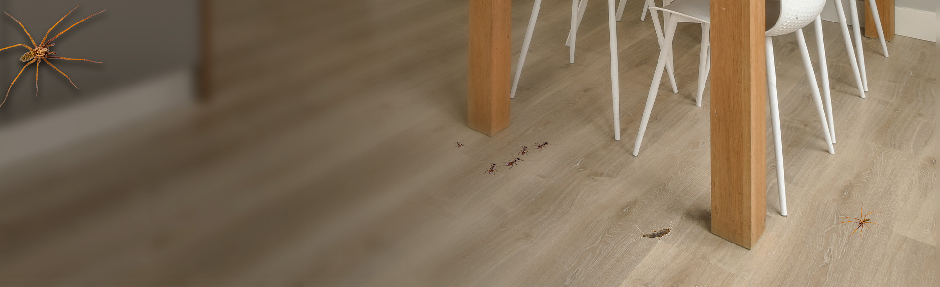 1920x587_kravlende_insekter