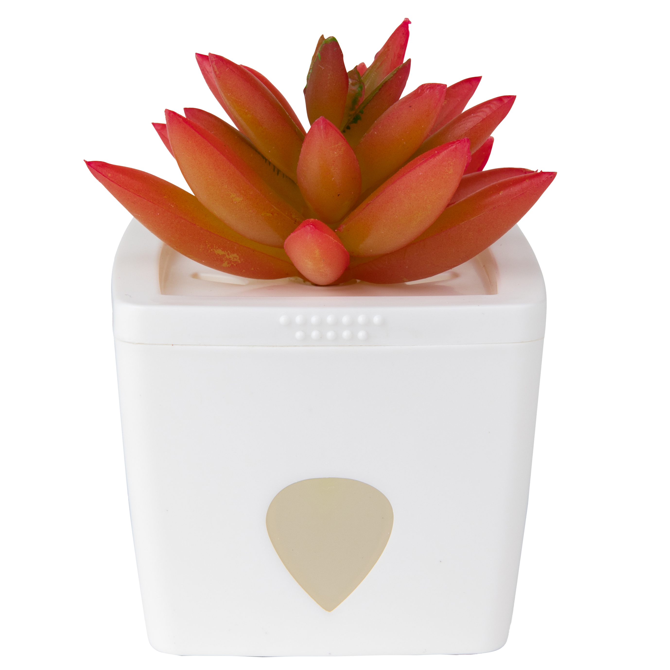 ZendoZones® Bananfluefælde, Joyful Janet, hvid